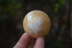 Polished Honey Aragonite Gemstone Sphere-Balls - Sold Per Item - From Ais-Ais Namibia - Toprock Gemstones and Minerals 