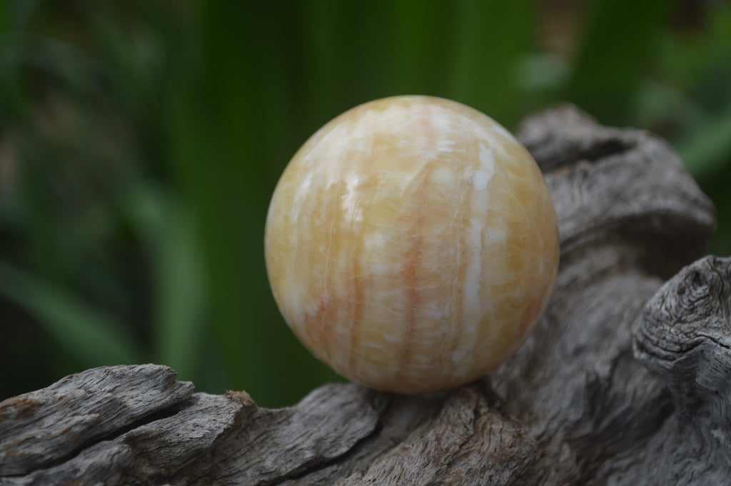 Polished Honey Aragonite Gemstone Sphere-Balls - Sold Per Item - From Ais-Ais Namibia - Toprock Gemstones and Minerals 
