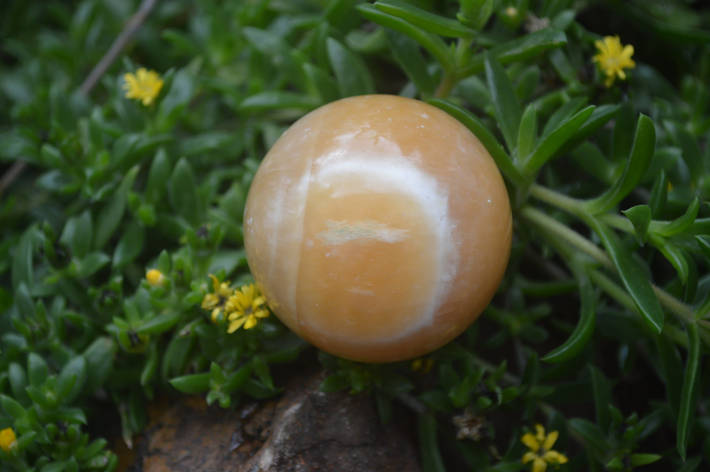 Polished Honey Aragonite Gemstone Sphere-Balls - Sold Per Item - From Ais-Ais Namibia - Toprock Gemstones and Minerals 
