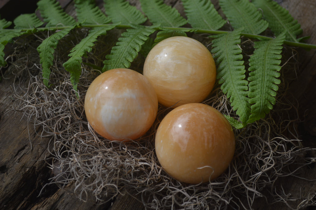 Polished Honey Aragonite Gemstone Sphere-Balls - Sold Per Item - From Ais-Ais Namibia - Toprock Gemstones and Minerals 