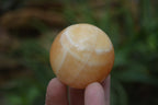Polished Honey Aragonite Gemstone Sphere-Balls - Sold Per Item - From Ais-Ais Namibia - Toprock Gemstones and Minerals 