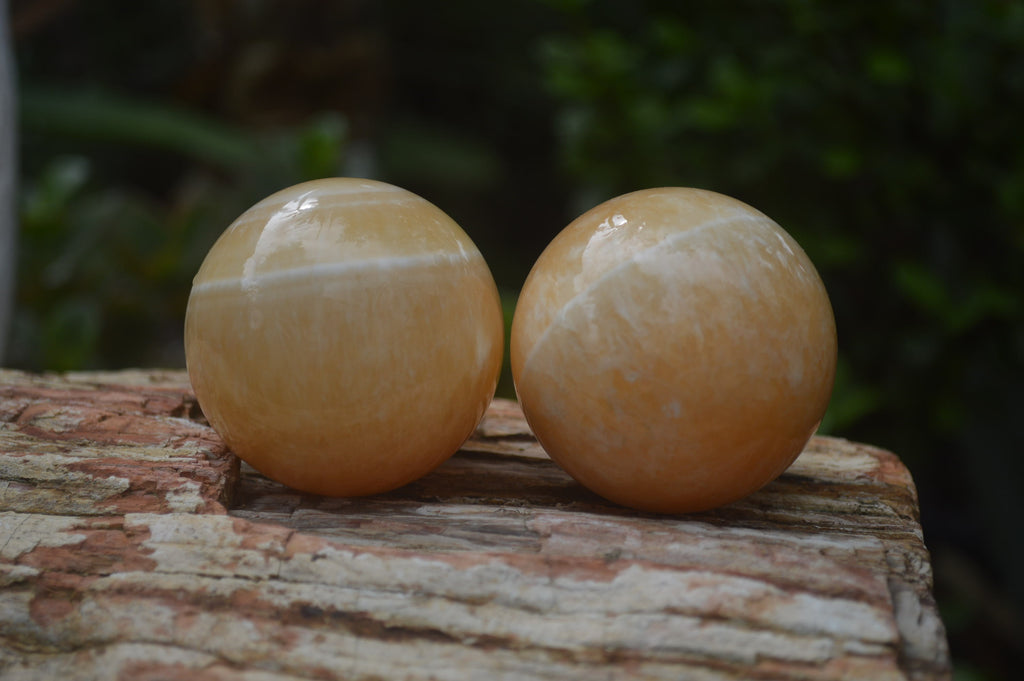 Polished Honey Aragonite Gemstone Sphere-Balls - Sold Per Item - From Ais-Ais Namibia - Toprock Gemstones and Minerals 