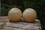 Polished Honey Aragonite Gemstone Sphere-Balls - Sold Per Item - From Ais-Ais Namibia - Toprock Gemstones and Minerals 