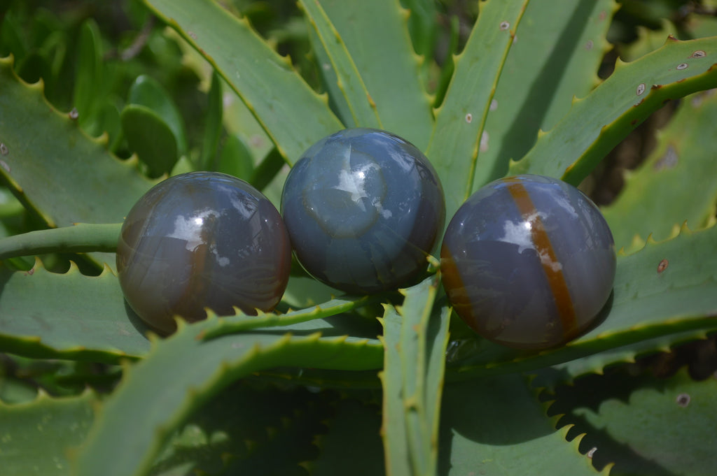 Polished Banded Agate Sphere-Balls - Sold Per Item - From Madagascar - Toprock Gemstones and Minerals 