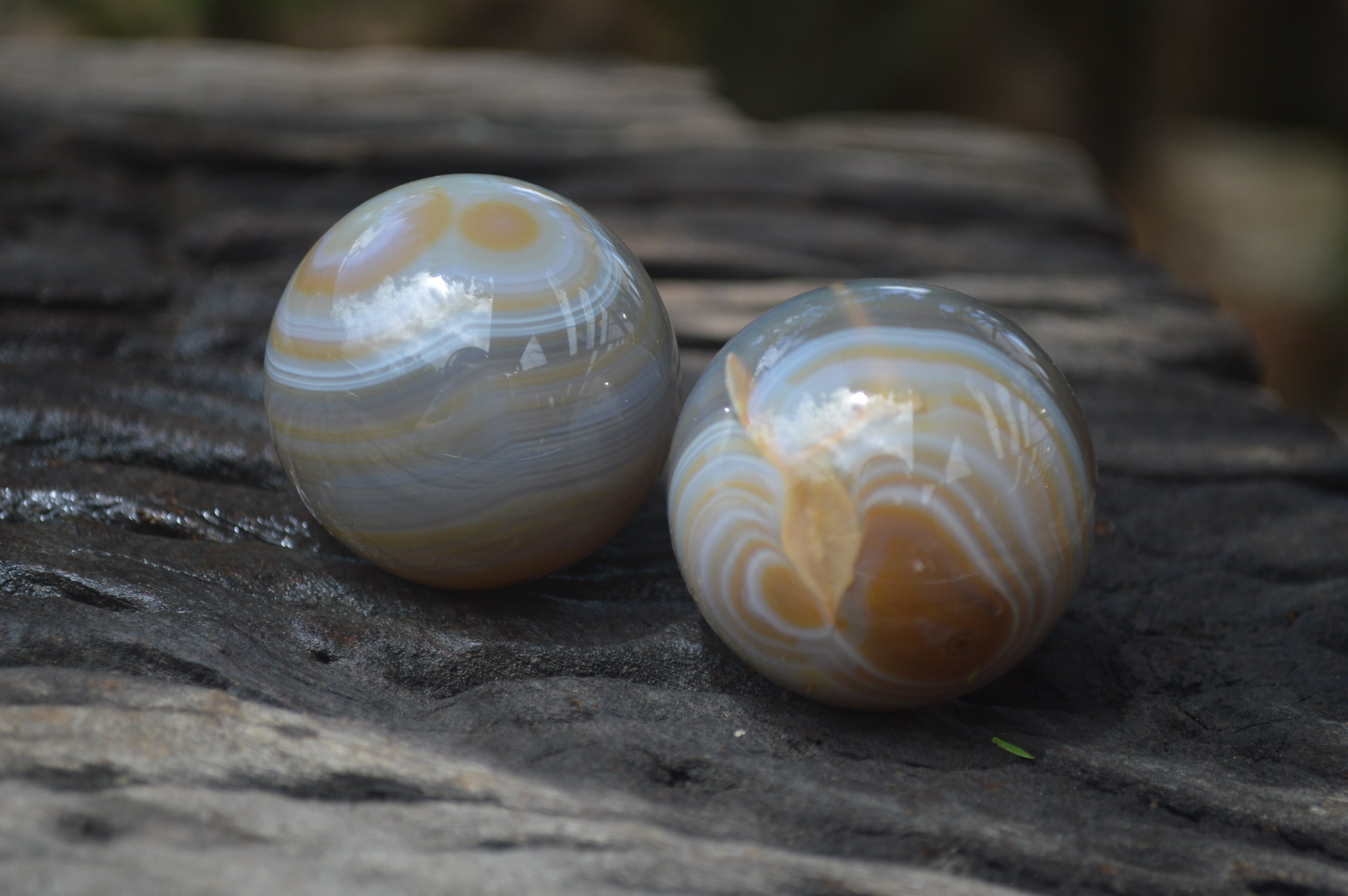 Polished Banded Agate Sphere-Balls - Sold Per Item - From Madagascar - Toprock Gemstones and Minerals 