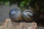 Polished Banded Agate Sphere-Balls - Sold Per Item - From Madagascar - Toprock Gemstones and Minerals 