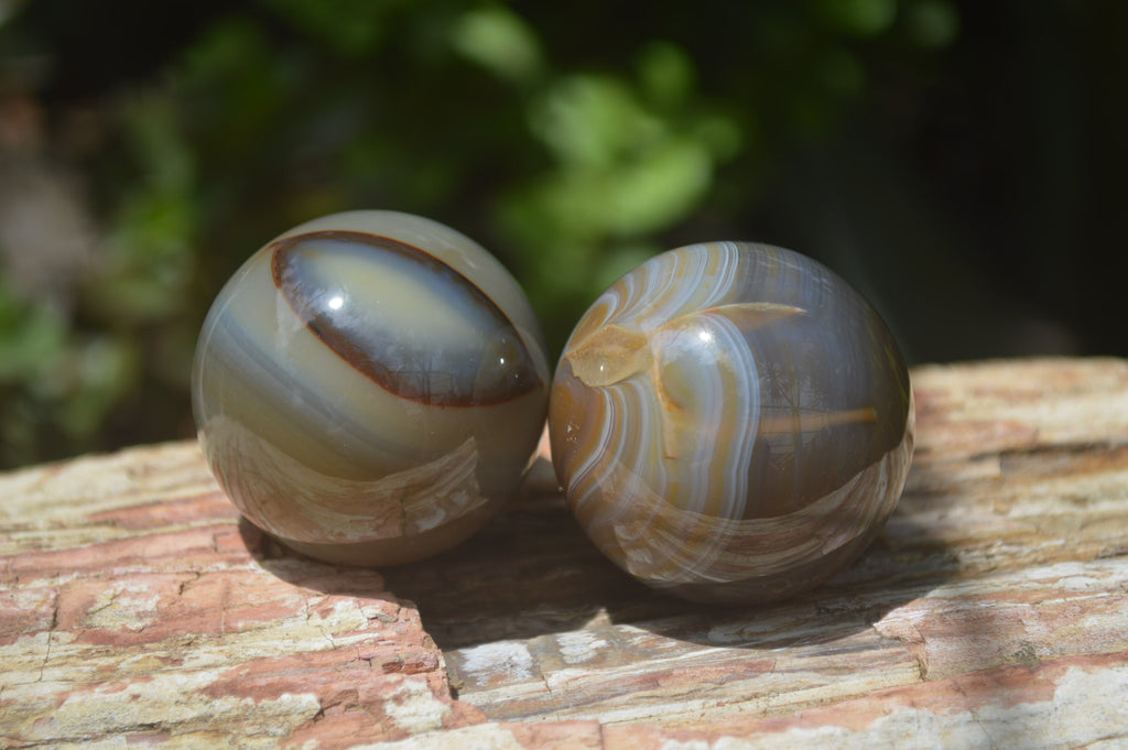 Polished Banded Agate Sphere-Balls - Sold Per Item - From Madagascar - Toprock Gemstones and Minerals 