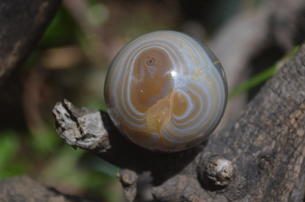Polished Banded Agate Sphere-Balls - Sold Per Item - From Madagascar - Toprock Gemstones and Minerals 