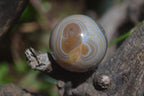 Polished Banded Agate Sphere-Balls - Sold Per Item - From Madagascar - Toprock Gemstones and Minerals 