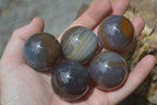 Polished Banded Agate Sphere-Balls - Sold Per Item - From Madagascar - Toprock Gemstones and Minerals 