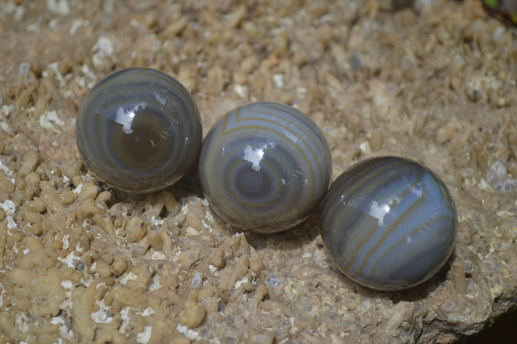 Polished Banded Agate Sphere-Balls - Sold Per Item - From Madagascar - Toprock Gemstones and Minerals 