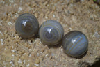 Polished Banded Agate Sphere-Balls - Sold Per Item - From Madagascar - Toprock Gemstones and Minerals 