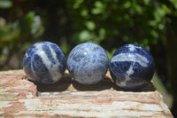 Polished Blue Sodalite Sphere-Balls - Sold Per Item - From Kunene River, Namibia - Toprock Gemstones and Minerals 
