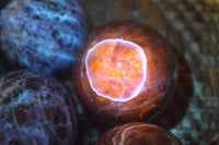 Polished Blue Sodalite Sphere-Balls - Sold Per Item - From Kunene River, Namibia - Toprock Gemstones and Minerals 