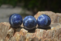 Polished Blue Sodalite Sphere-Balls - Sold Per Item - From Kunene River, Namibia - Toprock Gemstones and Minerals 
