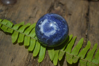 Polished Blue Sodalite Sphere-Balls - Sold Per Item - From Kunene River, Namibia - Toprock Gemstones and Minerals 