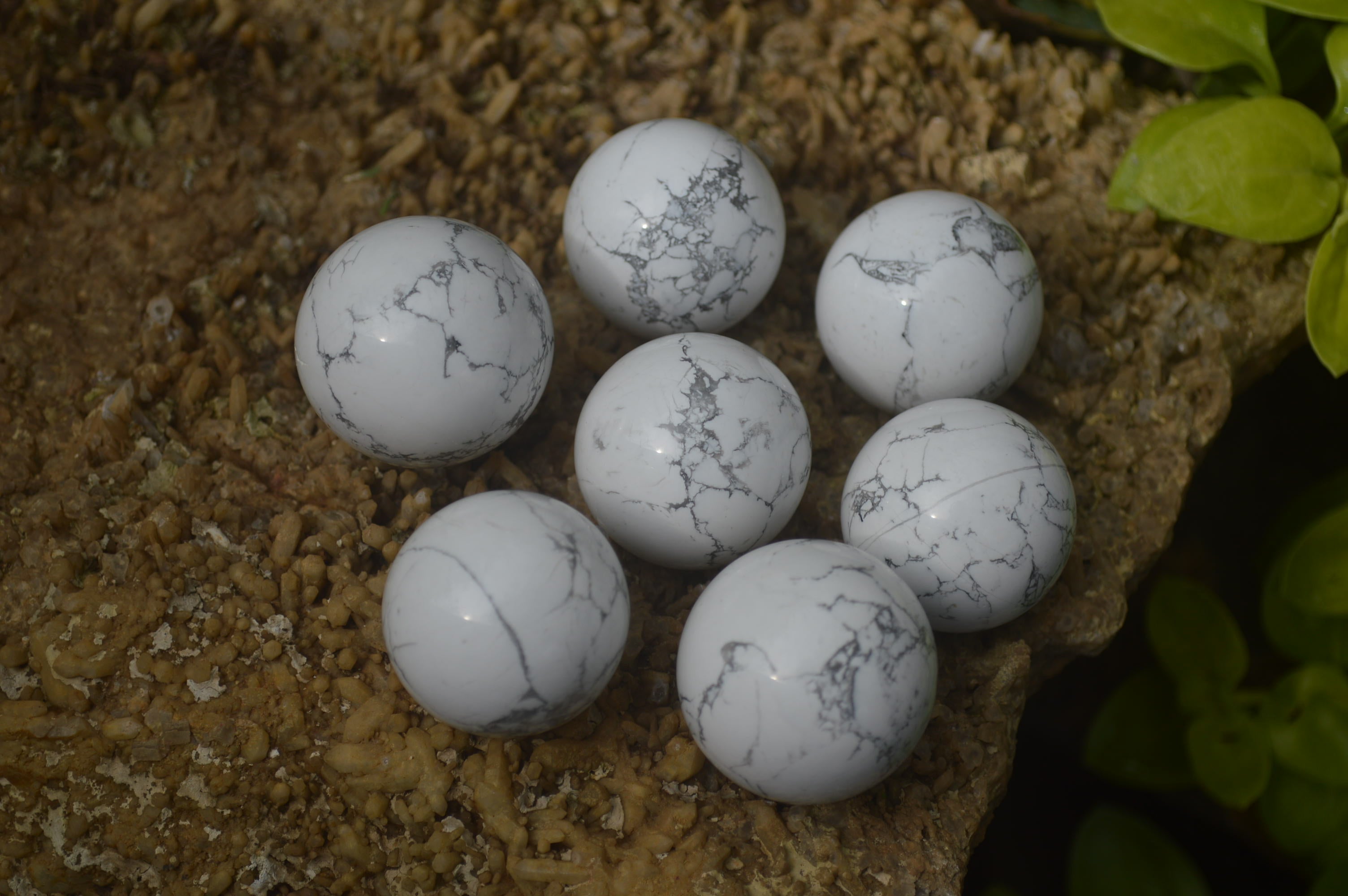 Polished Lightning Strike Magnesite - Howlite Sphere-Balls - Sold Per Item - From Zimbabwe - Toprock Gemstones and Minerals 