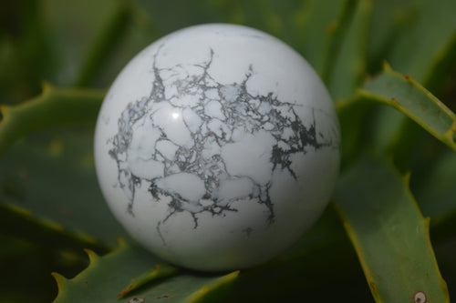 Polished Lightning Strike Magnesite - Howlite Sphere-Balls - Sold Per Item - From Zimbabwe - Toprock Gemstones and Minerals 
