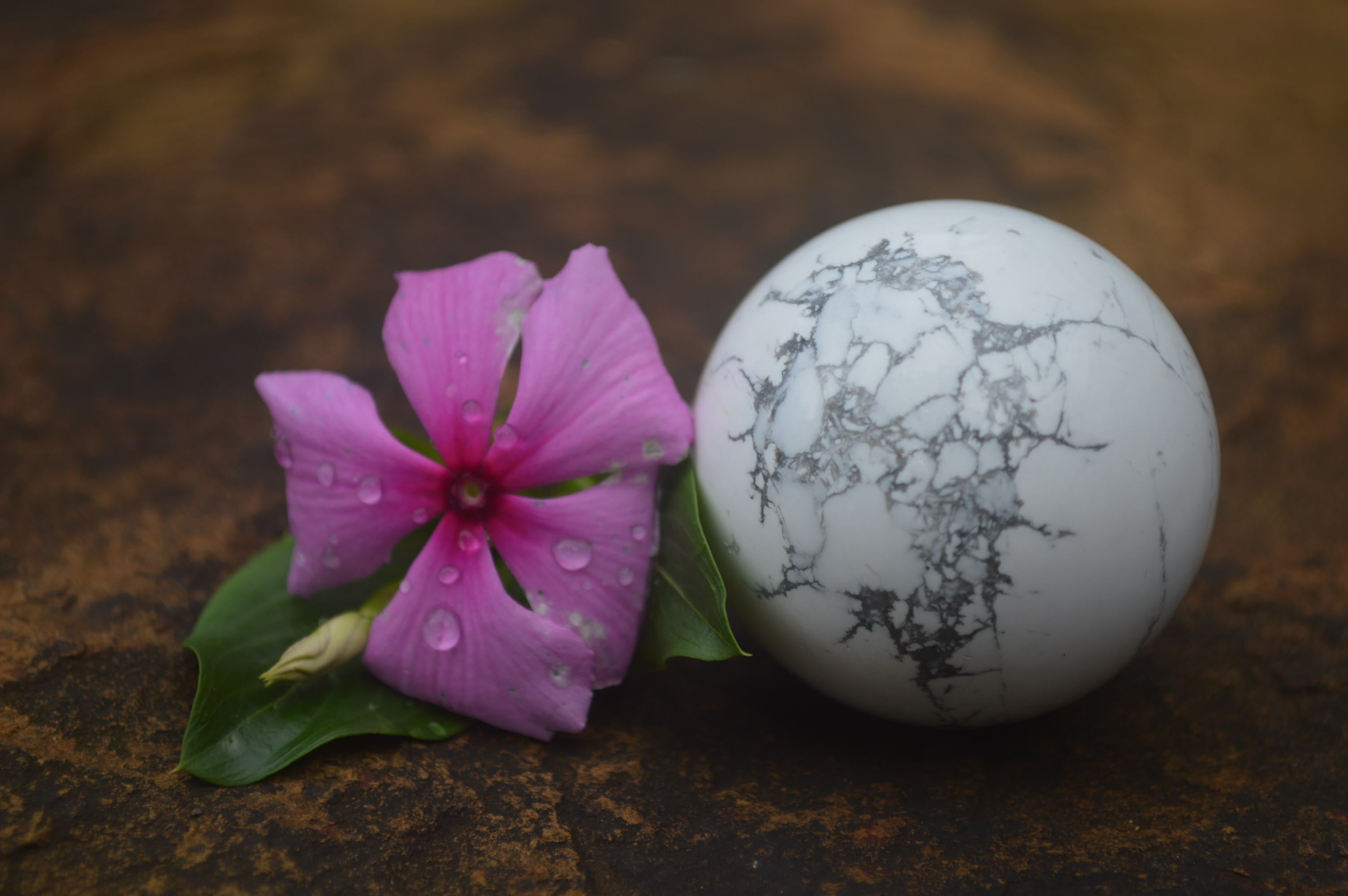 Polished Lightning Strike Magnesite - Howlite Sphere-Balls - Sold Per Item - From Zimbabwe - Toprock Gemstones and Minerals 