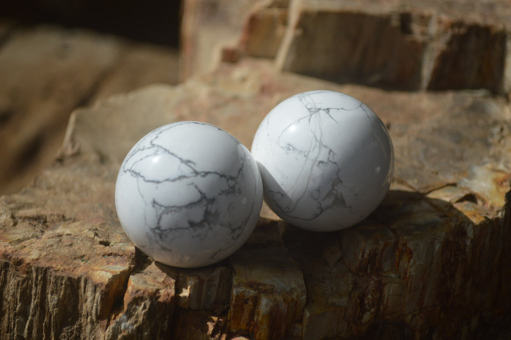 Polished Lightning Strike Magnesite - Howlite Sphere-Balls - Sold Per Item - From Zimbabwe - Toprock Gemstones and Minerals 