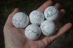 Polished Lightning Strike Magnesite - Howlite Sphere-Balls - Sold Per Item - From Zimbabwe - Toprock Gemstones and Minerals 
