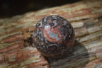 Polished Snakeskin Rhyolite Jasper Sphere - Ball - sold per item - From Australia - Toprock Gemstones and Minerals 