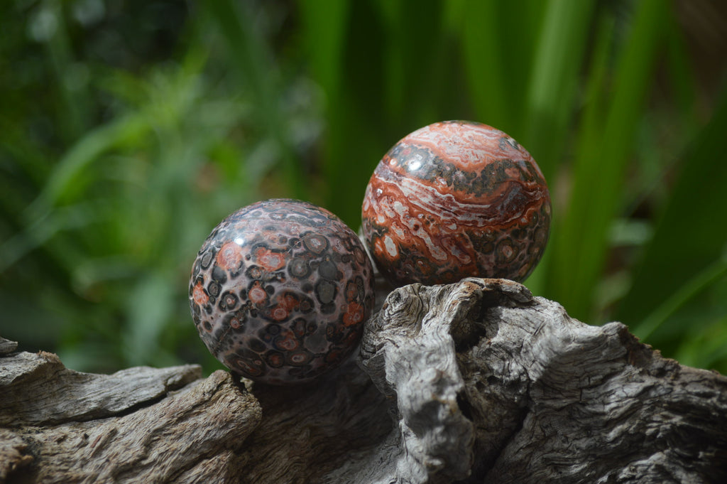Polished Snakeskin Rhyolite Jasper Sphere - Ball - sold per item - From Australia - Toprock Gemstones and Minerals 