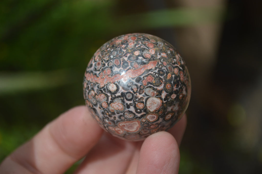 Polished Snakeskin Rhyolite Jasper Sphere - Ball - sold per item - From Australia - Toprock Gemstones and Minerals 
