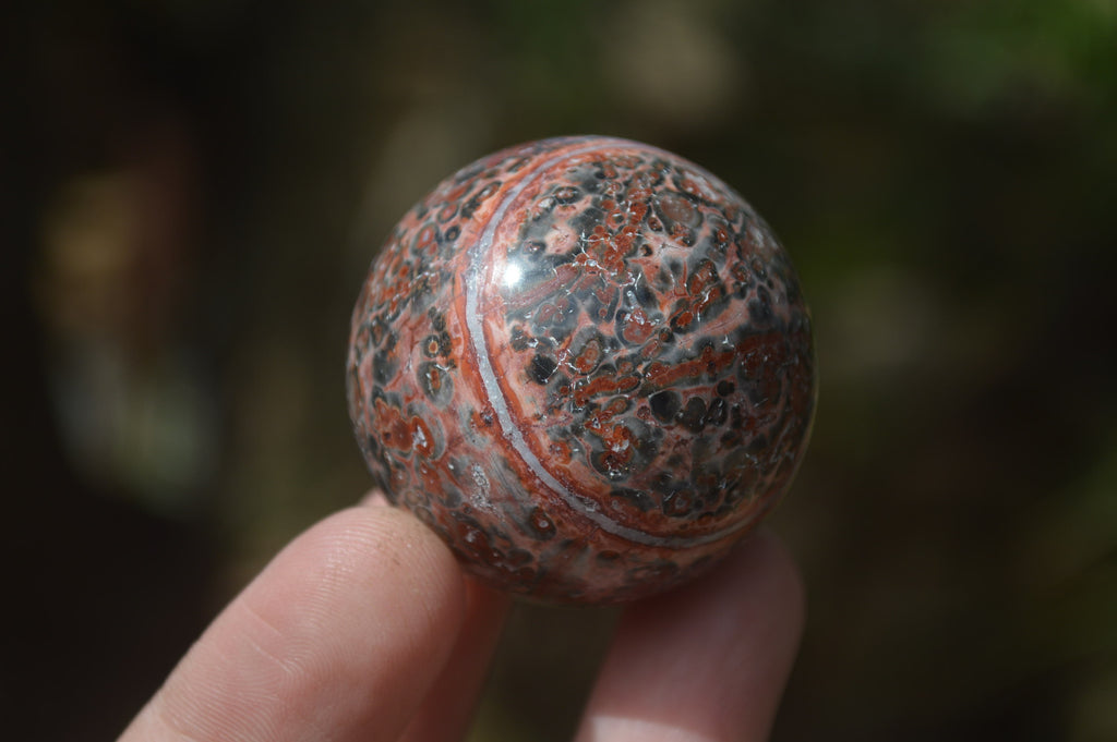 Polished Snakeskin Rhyolite Jasper Sphere - Ball - sold per item - From Australia - Toprock Gemstones and Minerals 