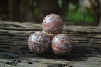 Polished Snakeskin Rhyolite Jasper Sphere - Ball - sold per item - From Australia - Toprock Gemstones and Minerals 