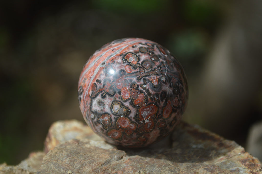 Polished Snakeskin Rhyolite Jasper Sphere - Ball - sold per item - From Australia - Toprock Gemstones and Minerals 