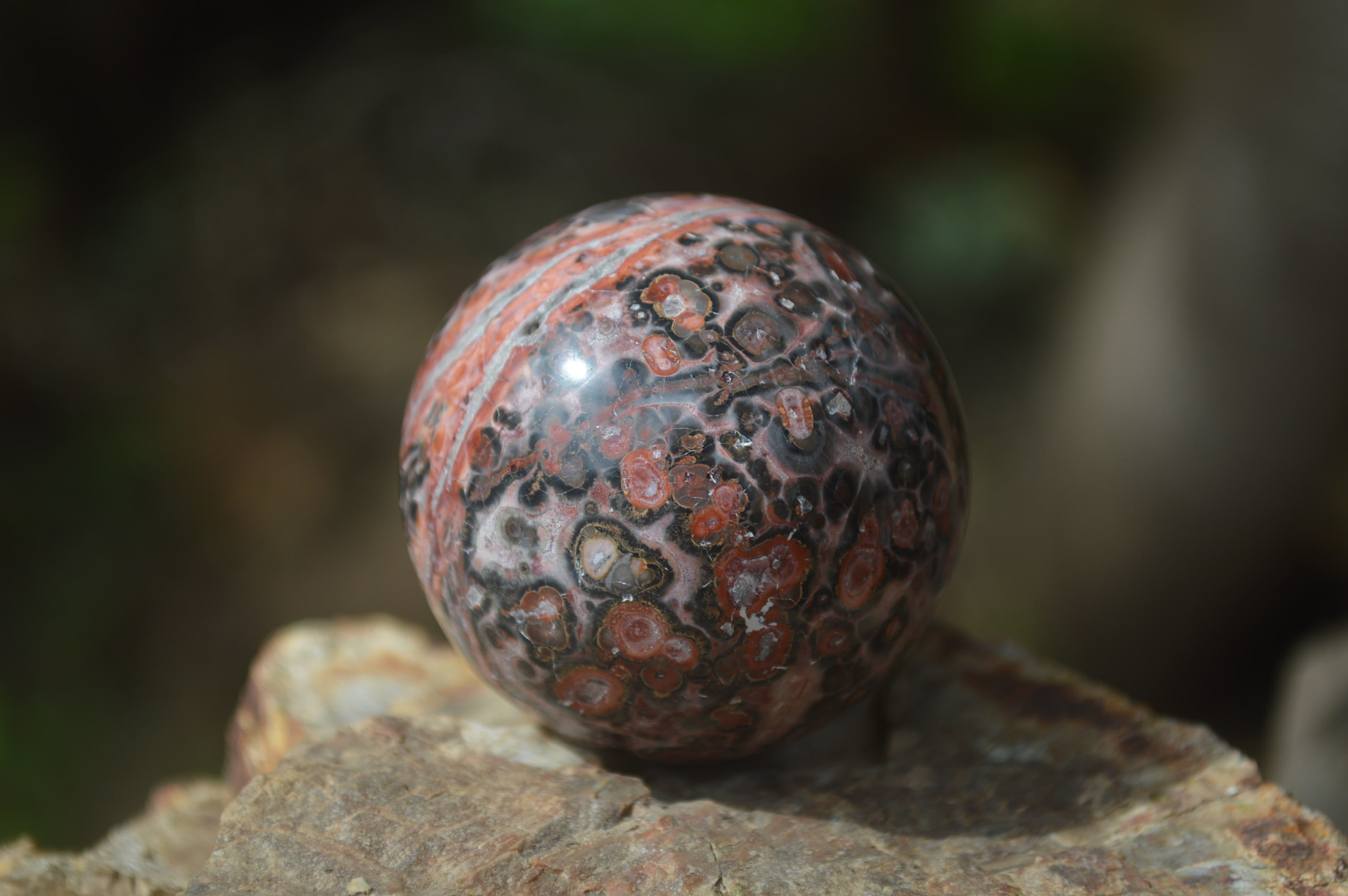 Polished Snakeskin Rhyolite Jasper Sphere - Ball - sold per item - From Australia - Toprock Gemstones and Minerals 