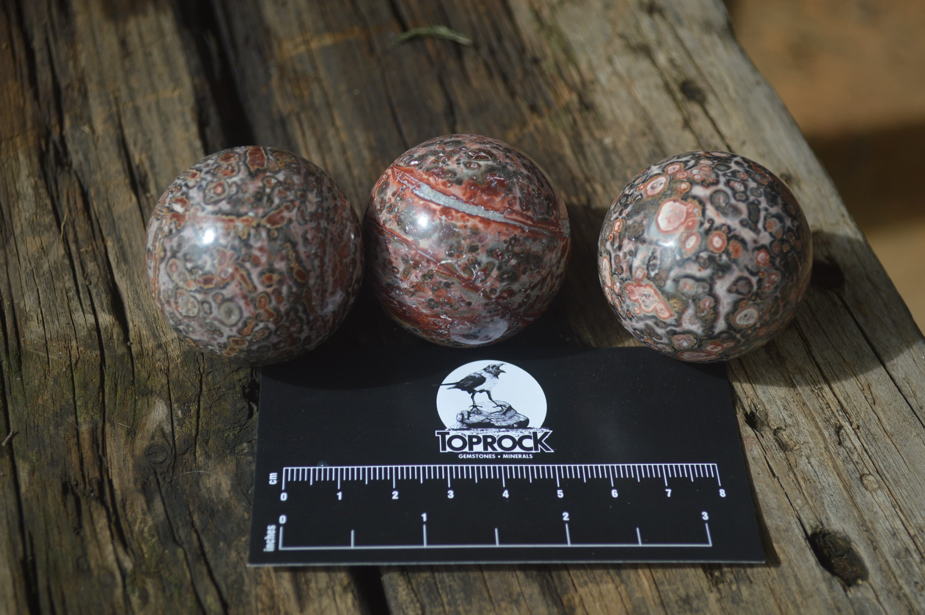 Polished Snakeskin Rhyolite Jasper Sphere - Ball - sold per item - From Australia - Toprock Gemstones and Minerals 
