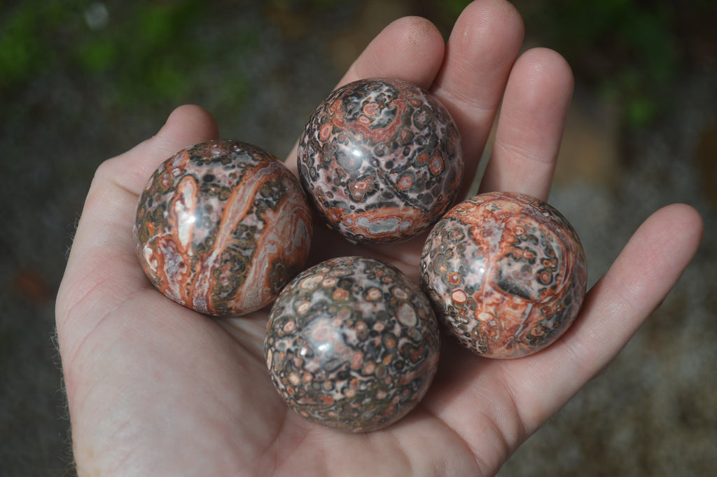 Polished Snakeskin Rhyolite Jasper Sphere - Ball - sold per item - From Australia - Toprock Gemstones and Minerals 