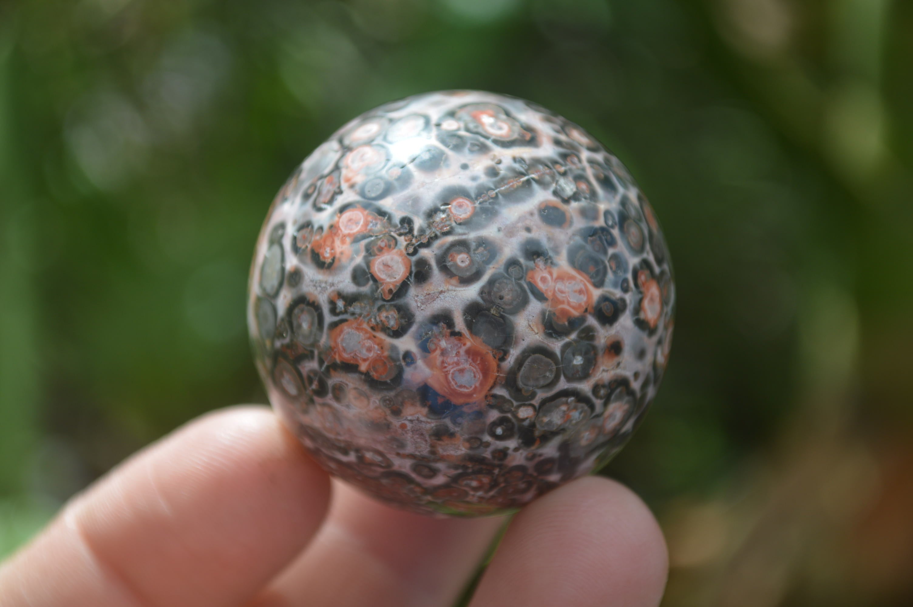 Polished Snakeskin Rhyolite Jasper Sphere - Ball - sold per item - From Australia - Toprock Gemstones and Minerals 