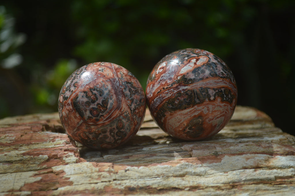 Polished Snakeskin Rhyolite Jasper Sphere - Ball - sold per item - From Australia - Toprock Gemstones and Minerals 