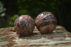 Polished Snakeskin Rhyolite Jasper Sphere - Ball - sold per item - From Australia - Toprock Gemstones and Minerals 