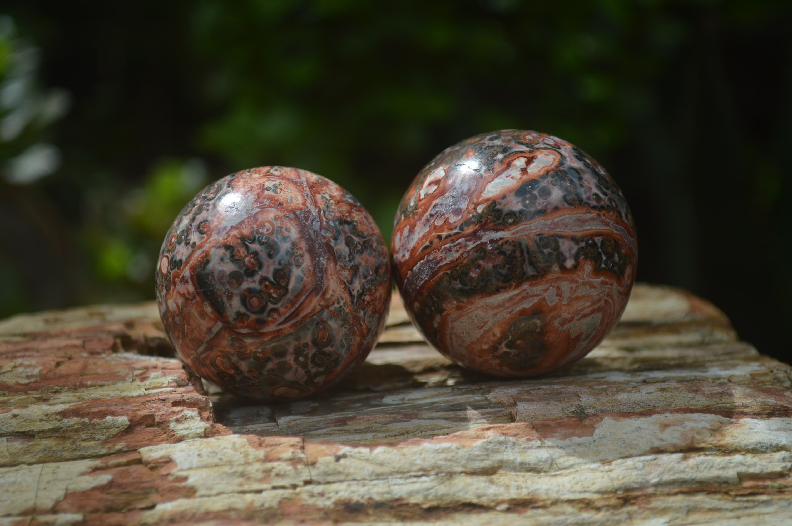 Polished Snakeskin Rhyolite Jasper Sphere - Ball - sold per item - From Australia - Toprock Gemstones and Minerals 