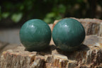 Polished Small Green Quartz Sphere-Balls - Sold Per Item - From Zimbabwe - Toprock Gemstones and Minerals 