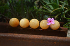 Polished Small Honey Aragonite Gemstone Sphere-Balls - Sold Per Item - From Ais-Ais Namibia - Toprock Gemstones and Minerals 