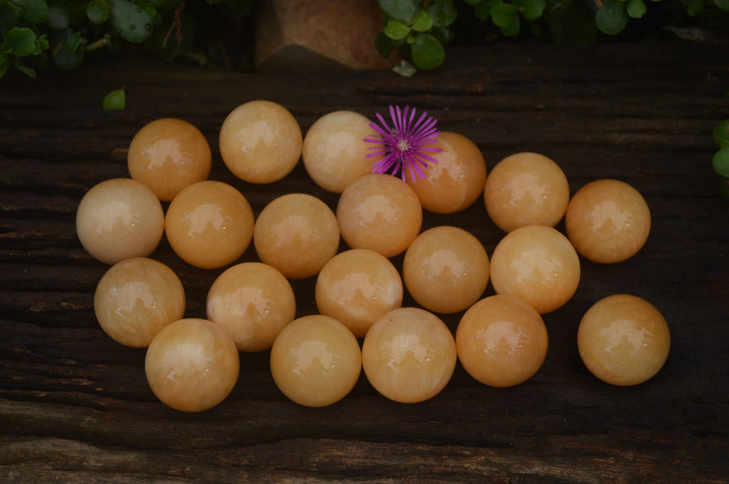 Polished Small Honey Aragonite Gemstone Sphere-Balls - Sold Per Item - From Ais-Ais Namibia - Toprock Gemstones and Minerals 