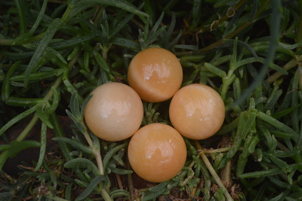 Polished Small Honey Aragonite Gemstone Sphere-Balls - Sold Per Item - From Ais-Ais Namibia - Toprock Gemstones and Minerals 