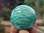 Polished Amazonite Sphere-Balls - Sold Per Item - From Madagascar - Toprock Gemstones and Minerals 