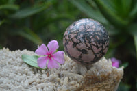 Polished Medium Rhodonite Sphere-Balls - Sold Per Item - From Madagascar - Toprock Gemstones and Minerals 