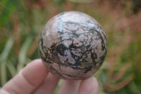 Polished Medium Rhodonite Sphere-Balls - Sold Per Item - From Madagascar - Toprock Gemstones and Minerals 