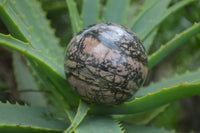 Polished Medium Rhodonite Sphere-Balls - Sold Per Item - From Madagascar - Toprock Gemstones and Minerals 