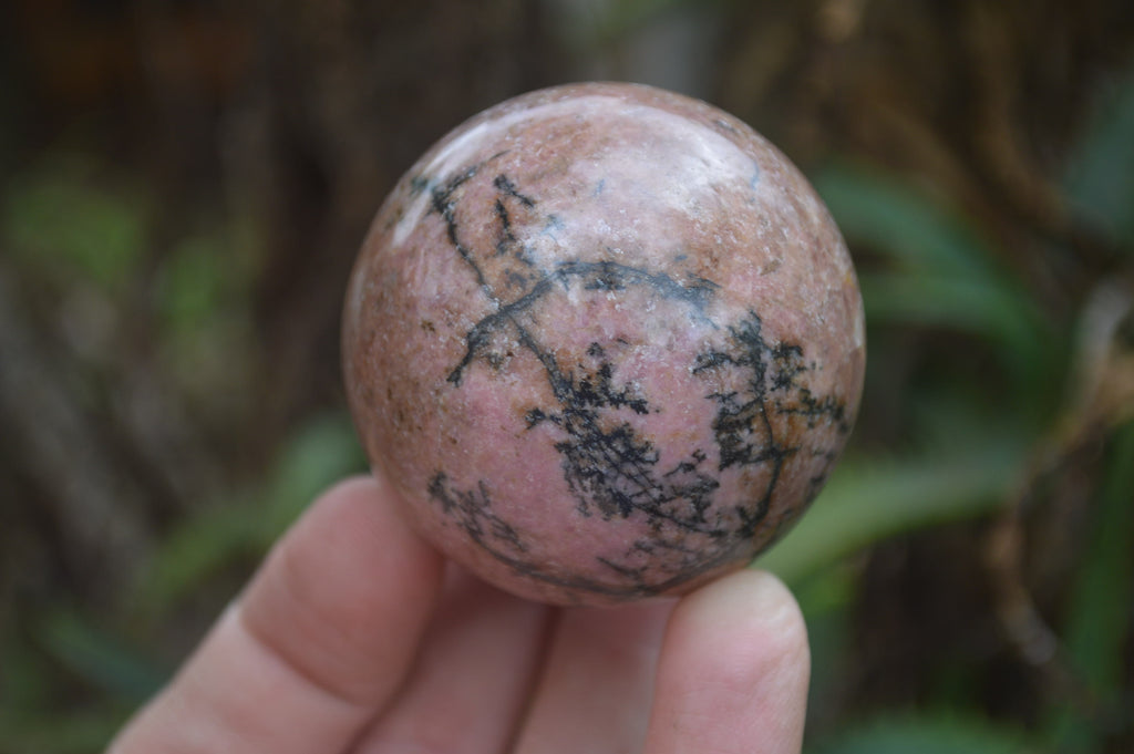 Polished Medium Rhodonite Sphere-Balls - Sold Per Item - From Madagascar - Toprock Gemstones and Minerals 