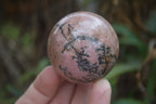 Polished Medium Rhodonite Sphere-Balls - Sold Per Item - From Madagascar - Toprock Gemstones and Minerals 