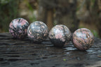 Polished Medium Rhodonite Sphere-Balls - Sold Per Item - From Madagascar - Toprock Gemstones and Minerals 