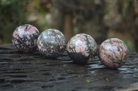 Polished Medium Rhodonite Sphere-Balls - Sold Per Item - From Madagascar - Toprock Gemstones and Minerals 